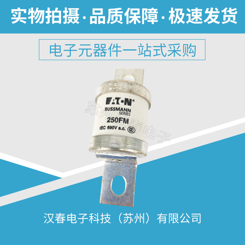 BS88：4保險絲 250FM